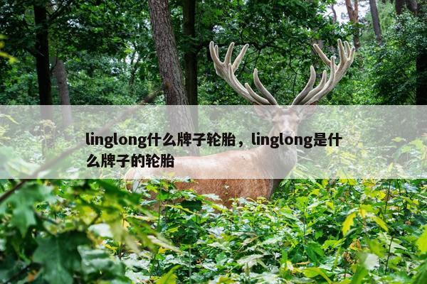 linglong什么牌子轮胎，linglong是什么牌子的轮胎