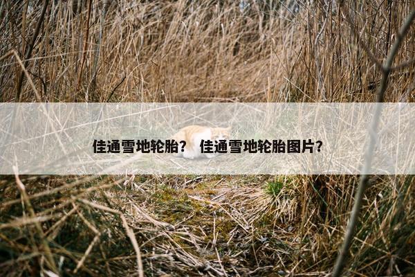 佳通雪地轮胎？ 佳通雪地轮胎图片？