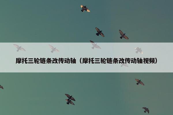 摩托三轮链条改传动轴（摩托三轮链条改传动轴视频）