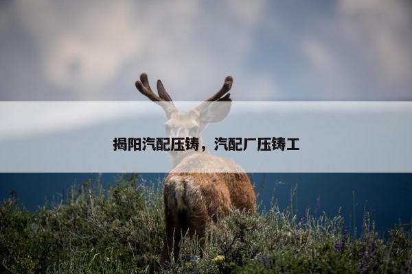 揭阳汽配压铸，汽配厂压铸工