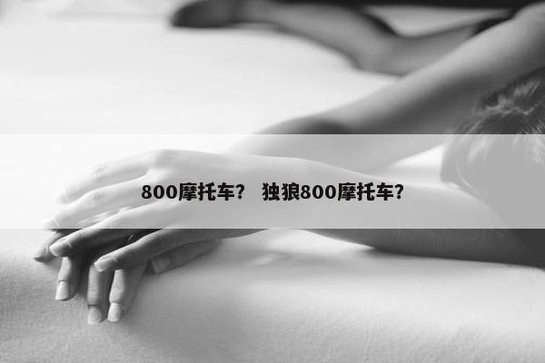 800摩托车？ 独狼800摩托车？