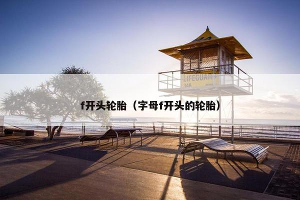 f开头轮胎（字母f开头的轮胎）