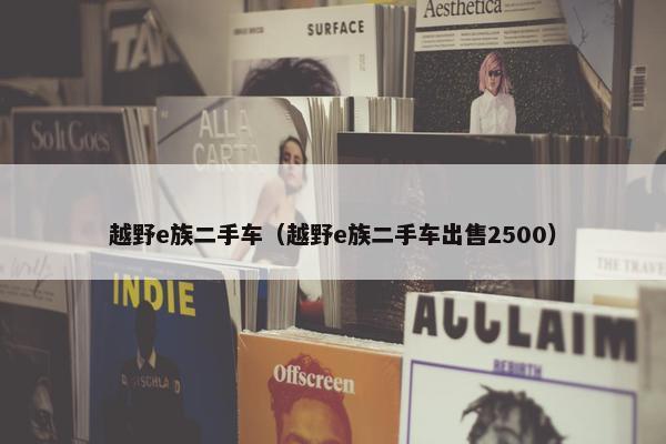 越野e族二手车（越野e族二手车出售2500）