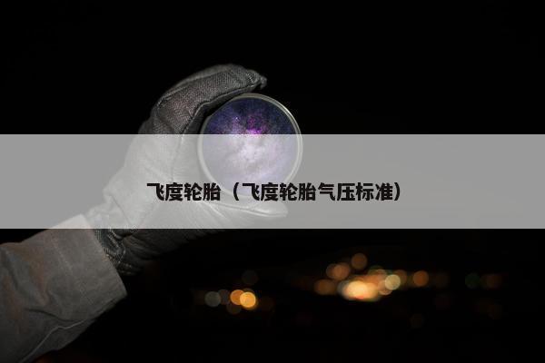飞度轮胎（飞度轮胎气压标准）