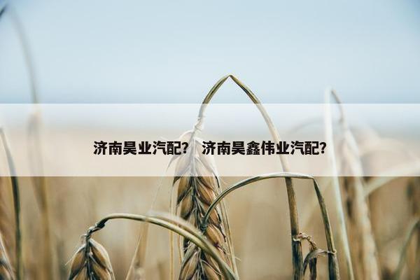 济南昊业汽配？ 济南昊鑫伟业汽配？