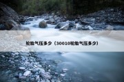 轮胎气压多少（30010轮胎气压多少）