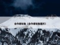 合作者轮胎（合作者轮胎图片）