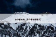 合作者轮胎（合作者轮胎图片）