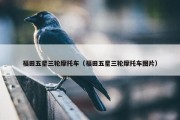 福田五星三轮摩托车（福田五星三轮摩托车图片）