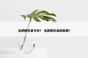 文武俩兄弟卡车？ 文武两兄弟的故事？