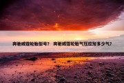 奔驰威霆轮胎型号？ 奔驰威霆轮胎气压应加多少气？
