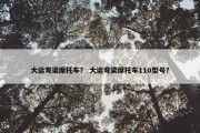 大运弯梁摩托车？ 大运弯梁摩托车110型号？