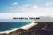 榕树卡车图片大全（榕树卡通图）