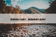 雅阁轮胎什么牌子，雅阁轮胎哪个品牌好