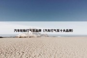 汽车轮胎打气泵品牌（汽车打气泵十大品牌）