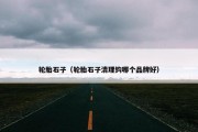 轮胎石子（轮胎石子清理钩哪个品牌好）