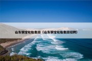山东银宝轮胎集团（山东银宝轮胎集团招聘）