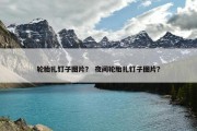 轮胎扎钉子图片？ 夜间轮胎扎钉子图片？