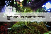 丽驰250摩托车（丽驰250摩托车跑到60,就加油不走）