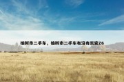 榆树市二手车，榆树市二手车有没有长安Z6
