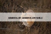 沈阳摩托车上牌（沈阳摩托车上牌子在哪上）