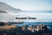 轿车轮胎多重（大车轮胎）