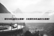 摩托车机油滤芯位置图？ 三轮摩托车机油滤芯位置图？