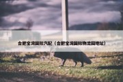 合肥宝湾国际汽配（合肥宝湾国际物流园地址）
