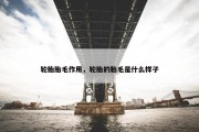 轮胎胎毛作用，轮胎的胎毛是什么样子