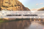 大阳摩托车价格及图片（大阳摩托车百度百科）