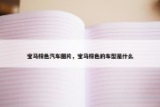 宝马棕色汽车图片，宝马棕色的车型是什么