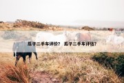 瓜子二手车评价？ 瓜子二手车评估？