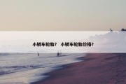 小轿车轮胎？ 小轿车轮胎价格？