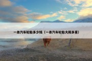 一条汽车轮胎多少钱（一条汽车轮胎大概多重）