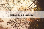 我看卡车图片？ 我看卡车图片真实？