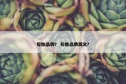轮胎品牌？ 轮胎品牌英文？