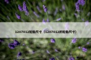 1207012轮胎尺寸（1207012的轮胎尺寸）