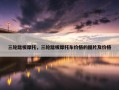 三轮踏板摩托，三轮踏板摩托车价格的图片及价格