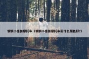 银钢小怪兽摩托车（银钢小怪兽摩托车买什么颜色好?）