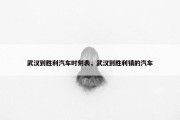 武汉到胜利汽车时刻表，武汉到胜利镇的汽车