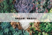 轮胎怎么读？ 轮胎怎么念？