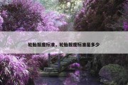 轮胎报废标准，轮胎报废标准是多少