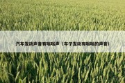 汽车发动声音有嗡嗡声（车子发动有嗡嗡的声音）