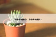 夸你卡车图片？ 你卡车的图片？