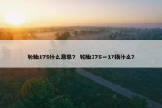 轮胎275什么意思？ 轮胎275一17指什么？