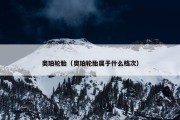 奥珀轮胎（奥珀轮胎属于什么档次）