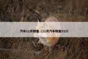 汽车11月销量（11月汽车销量515）