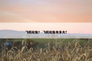 飞机轮胎？ 飞机轮胎有多大？