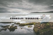 尼龙轮胎怎么样？ 尼龙轮胎多少钱一个？