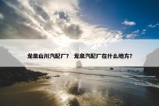 龙泉山川汽配厂？ 龙泉汽配厂在什么地方？